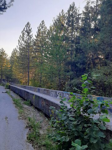 A section of the graffiti-covered concrete chute of the Sarajevo bobsled track winding down through pine forest.