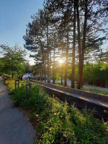 A wider view of the abandoned Sarajevo Olympic bobsled track running through pine forest on Mount Trebević.