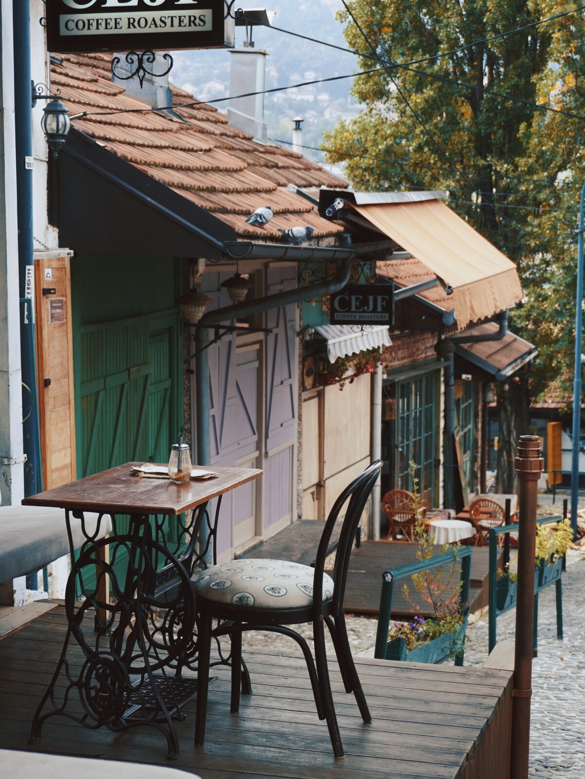 The Ćejf Coffee Roasters storefront on Kovači — pale-green and lilac wooden doors, tiled roof, a small terrace with a sewing-machine table and chair, the cobbled lane running past.