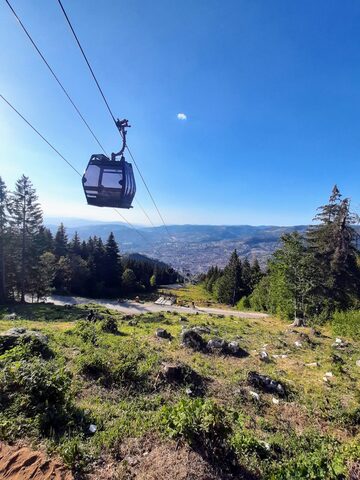 A cable car cabin passing overhead against a clear sky, with pine trees and the distant valley below.