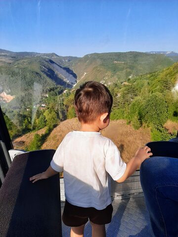 A young child, seen from behind, looks out of a cabin window at wooded hills and a gorge.