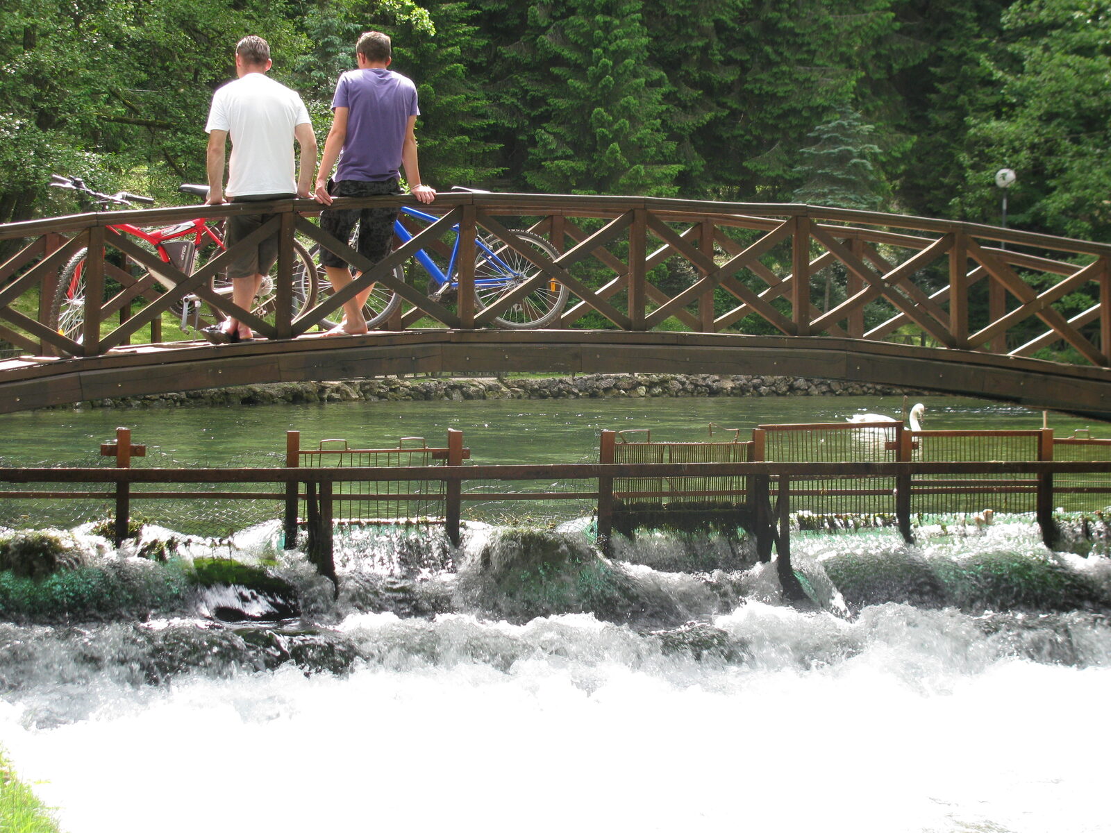 A wooden bridge crossing one of the smaller channels at Vrelo Bosne park.