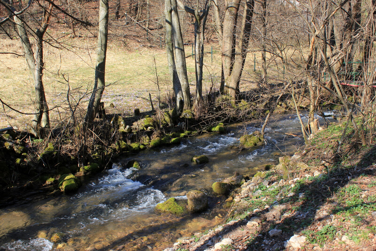 Vrelo Mošćanice